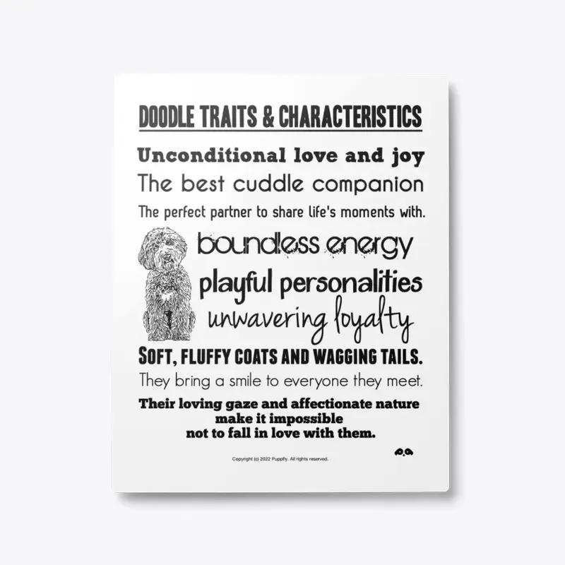 Doodle Traits & Characteristics